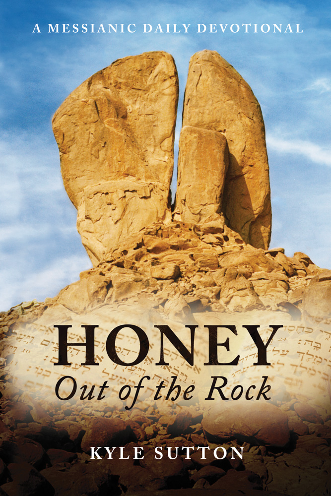 Honey Out of The Rock Front Cover
